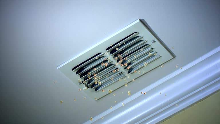 Best Affordable Air Duct Cleaning  in Rayville, LA