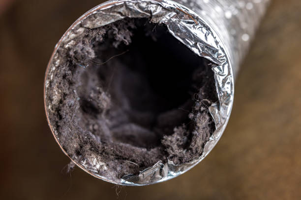 Best Best Air Duct Cleaning Near Me  in Rayville, LA